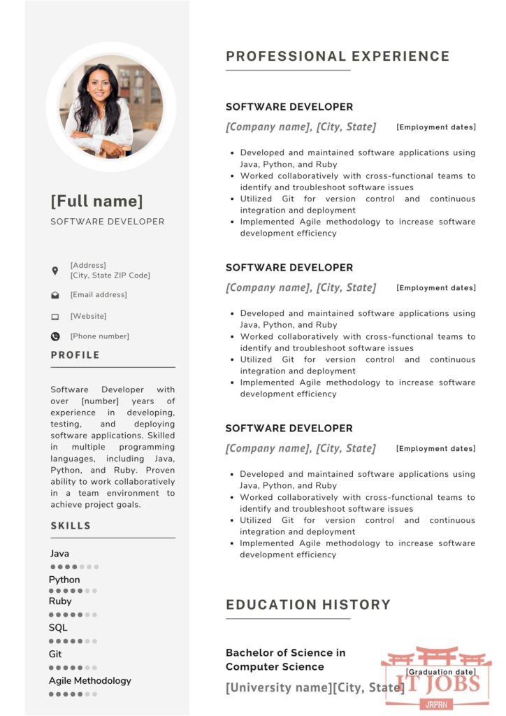 Example of software developer resume